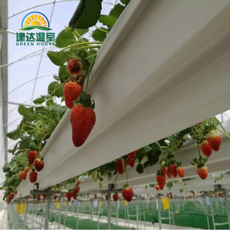 hydroponic gutter