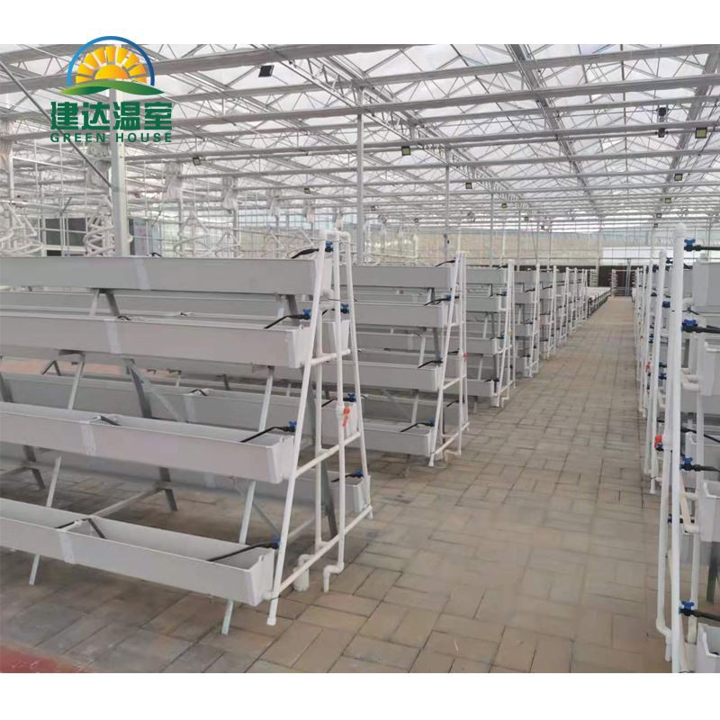 hydroponic planting