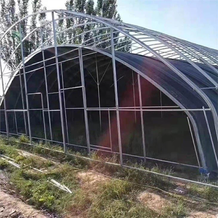 Blackout Greenhouse For Mushroom And Cannabis