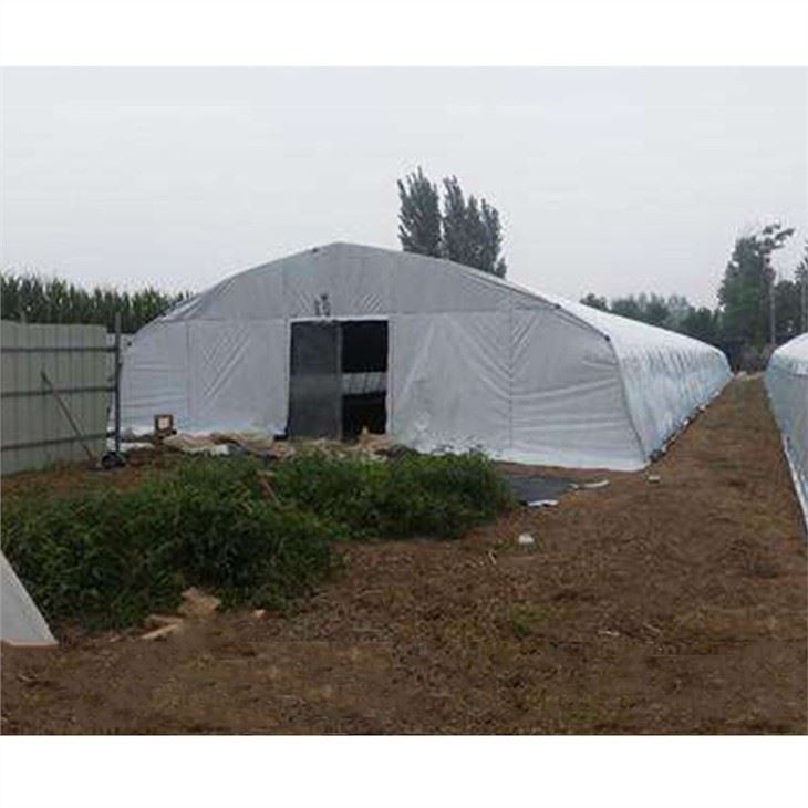 Blackout Light Deprivation Film Mushroom Greenhouse