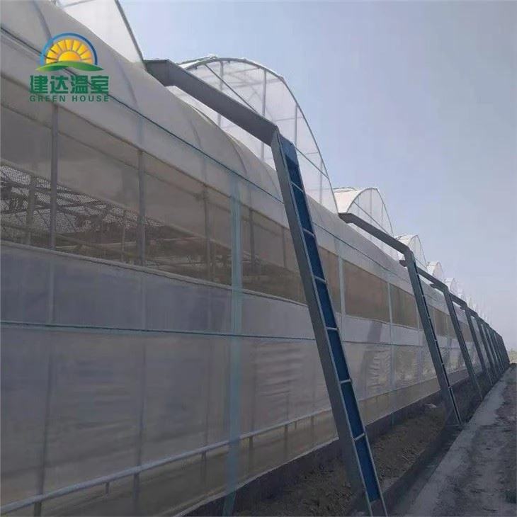 Commercial Greenhouse