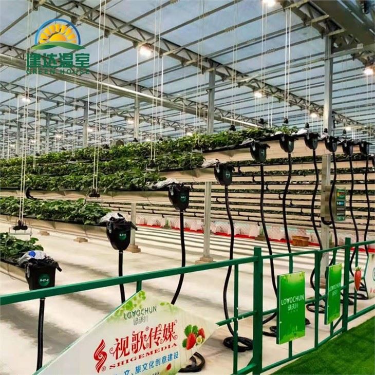 Hydroponic Indoor Farming Greenhouse