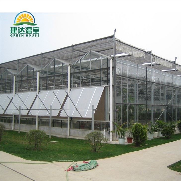 Hydroponic Indoor Farming Greenhouse