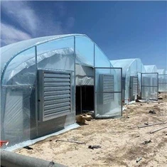 Hivernacle de pel·lícules per al mercat dels EUA per a la plantació d’erms