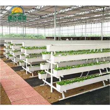 Canal de plantació d'hortalisses hidropònics