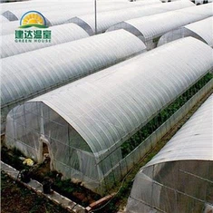 PO Film hivernacle vegetal