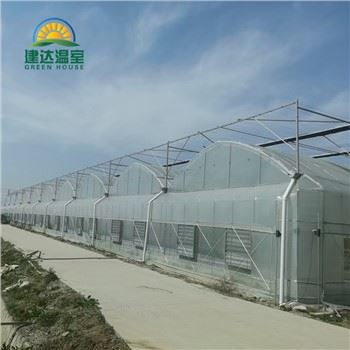 Hivernacle d'enciams vegetals amb hidropònic