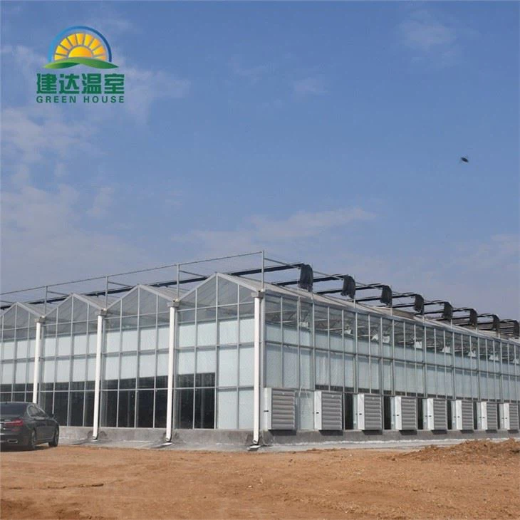 Tempered Glass Greenhouse