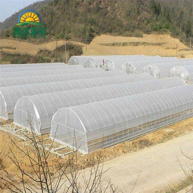 Tunnel Greenhouse