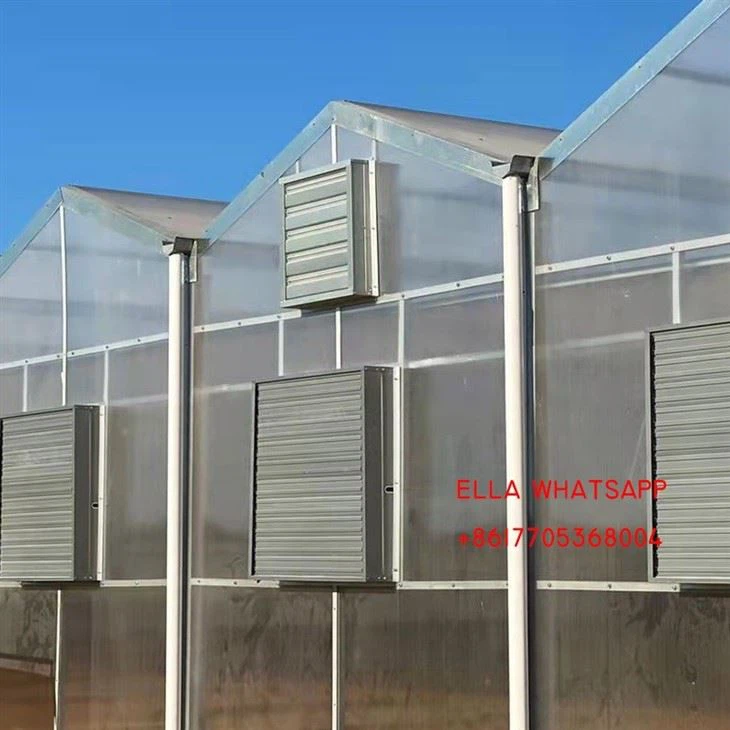 China Polycarbonate Greenhouse Price