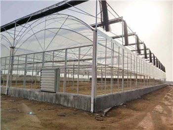 hivernacles agrícoles de múltiples camps