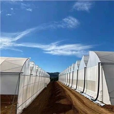 Hivernacle de sistemes hidropònics