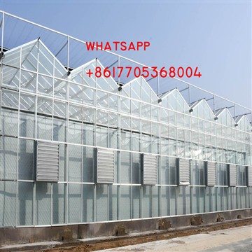 Venlo Greenhouse acabat als Emirats Àrabs Units