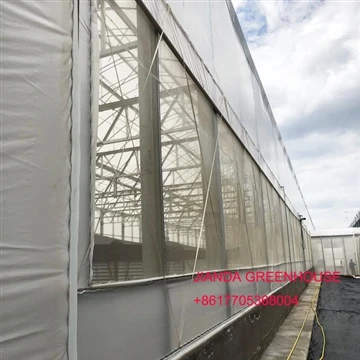 Precaucions per a l'espaiat en la construcció d'hivernacle cinematogràfic