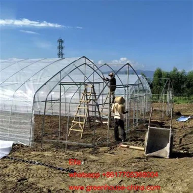 Hivernacle solar