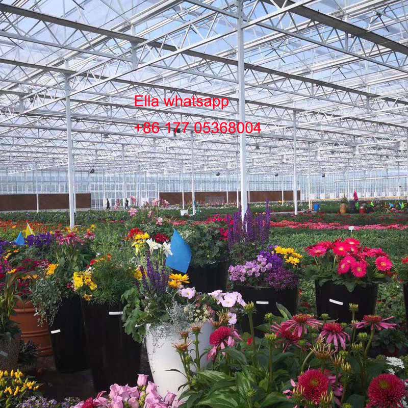 flower greenhouse flower greenhouse